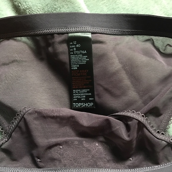 Topshop Mauve Embroidered Mesh Cutout Underwear - Picture 5 of 7